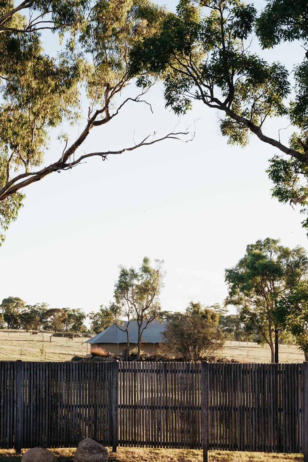 Serenita Stanthorpe Luxury tent Severnlea